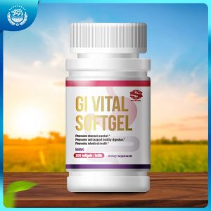 GI Vital Softgel Capsule