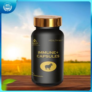 Immune + Capsules